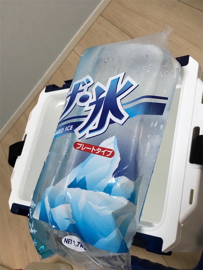 f:id:esojima3:20190729190554j:image