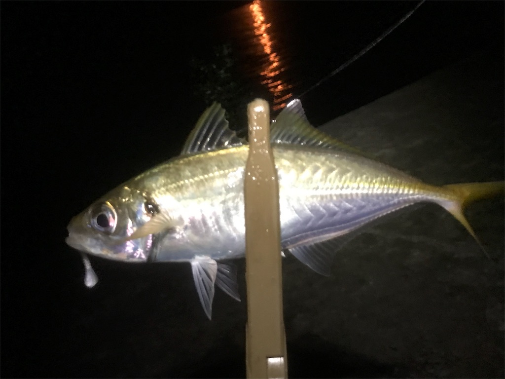 f:id:esojima3:20190730222253j:image