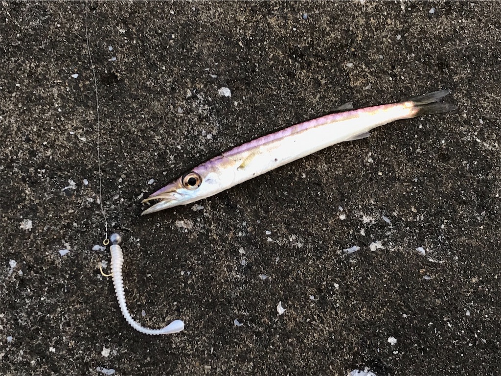 f:id:esojima3:20190730222441j:image