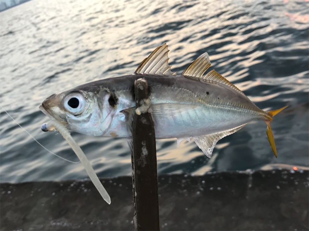 f:id:esojima3:20190730222937j:image