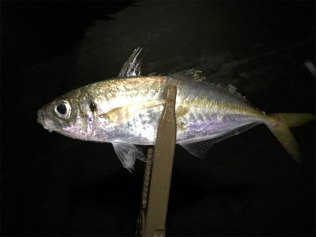f:id:esojima3:20190730223005j:image