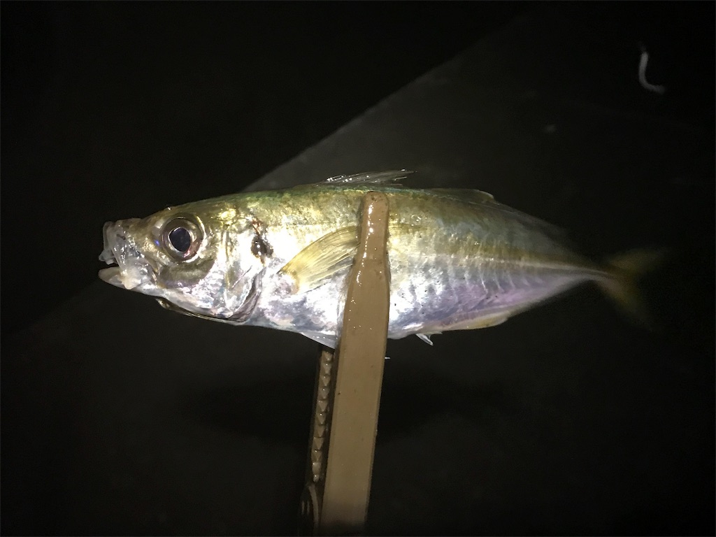 f:id:esojima3:20190730223447j:image