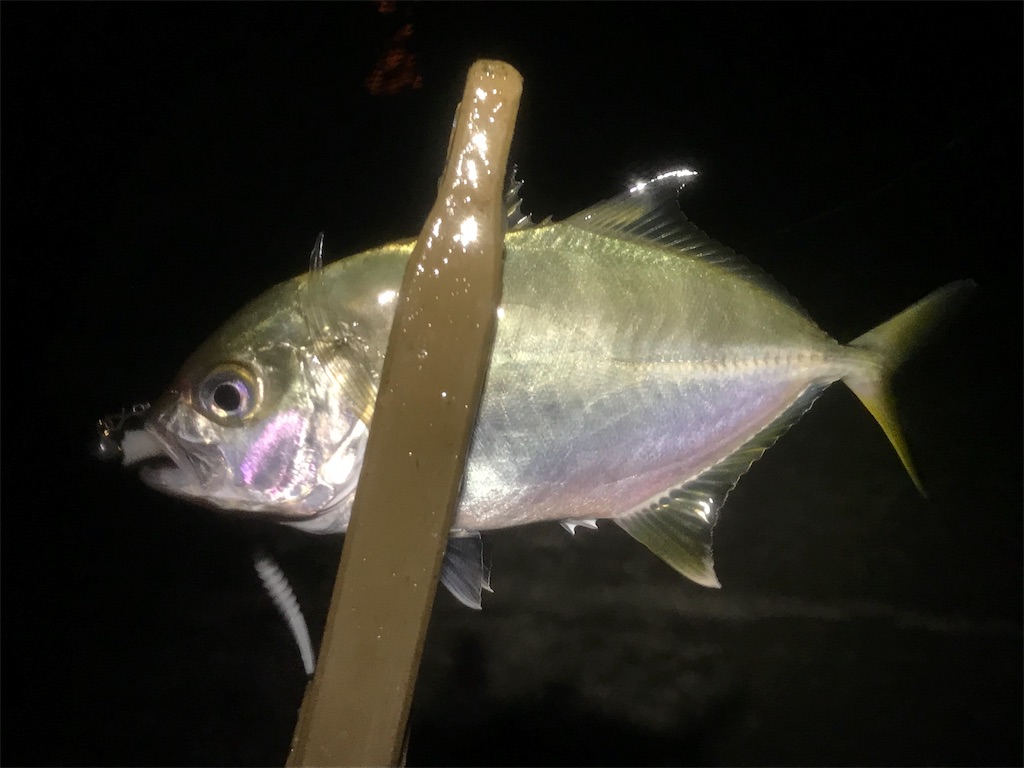 f:id:esojima3:20190730223450j:image