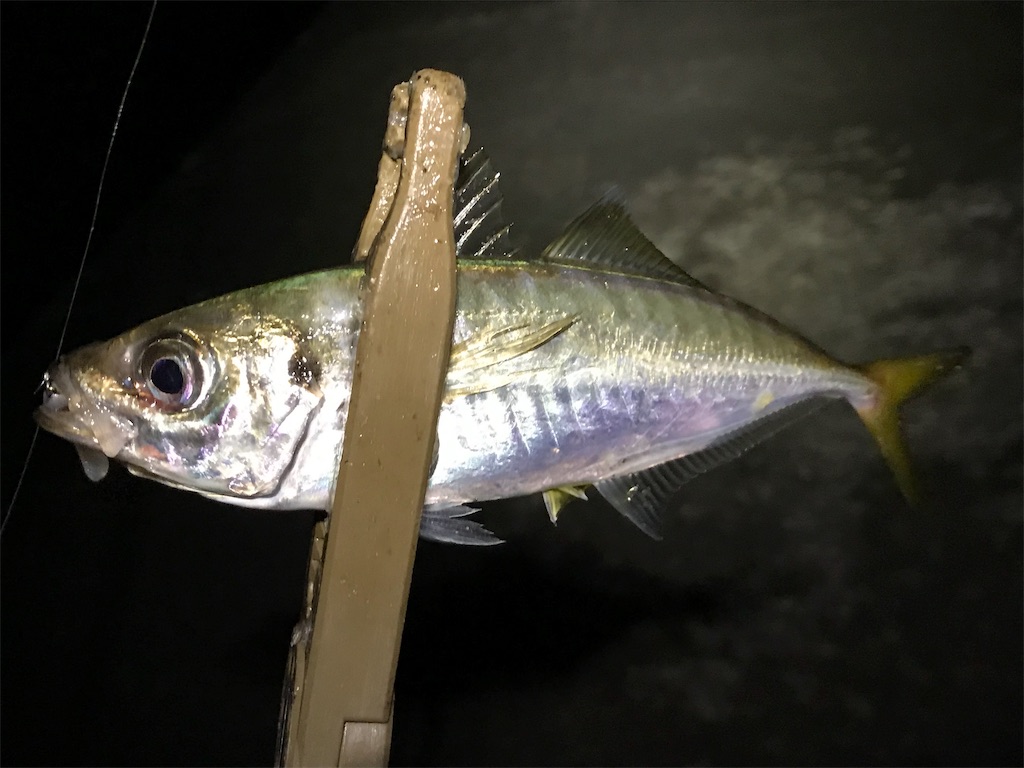 f:id:esojima3:20190730223505j:image
