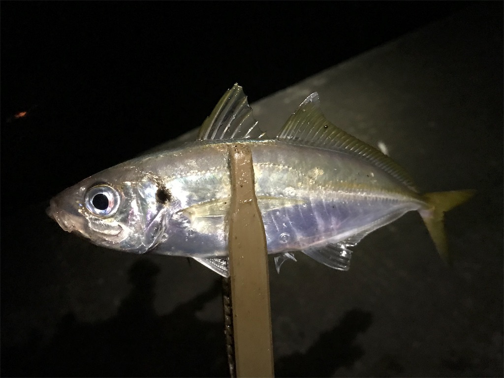 f:id:esojima3:20190730223523j:image