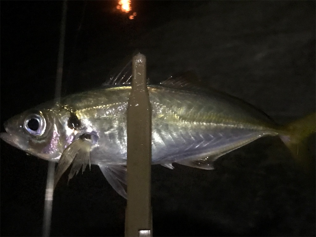 f:id:esojima3:20190730223533j:image