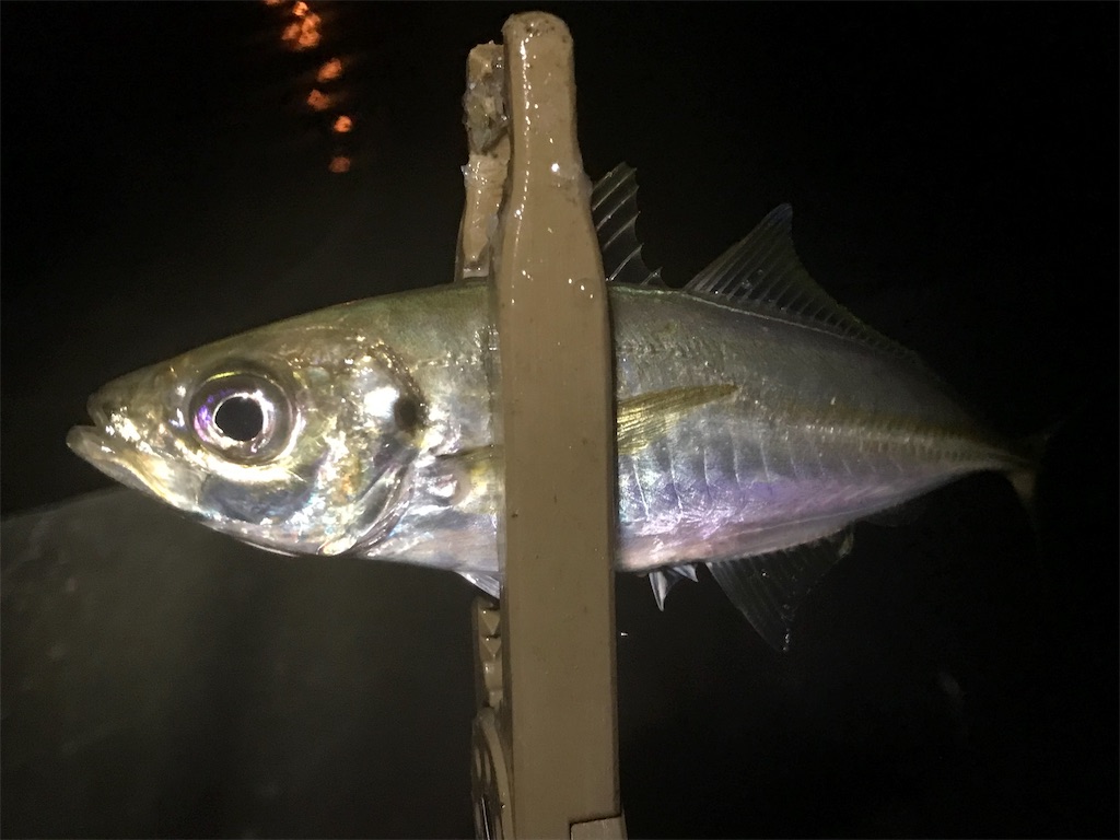 f:id:esojima3:20190730223542j:image
