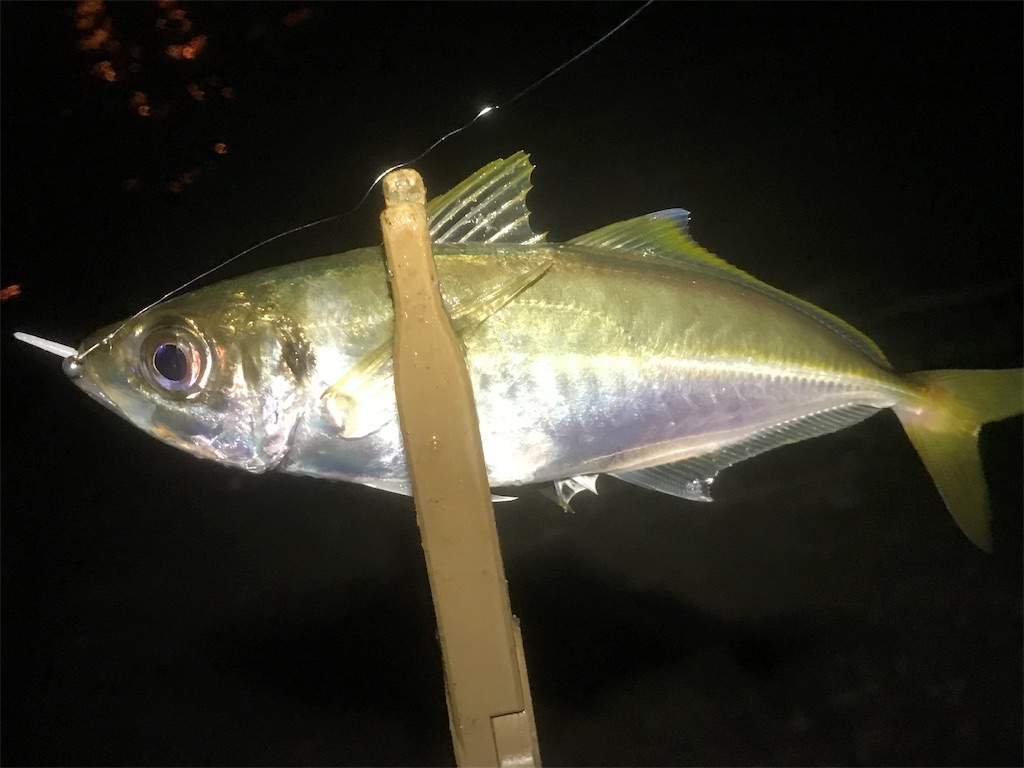 f:id:esojima3:20190730223552j:image