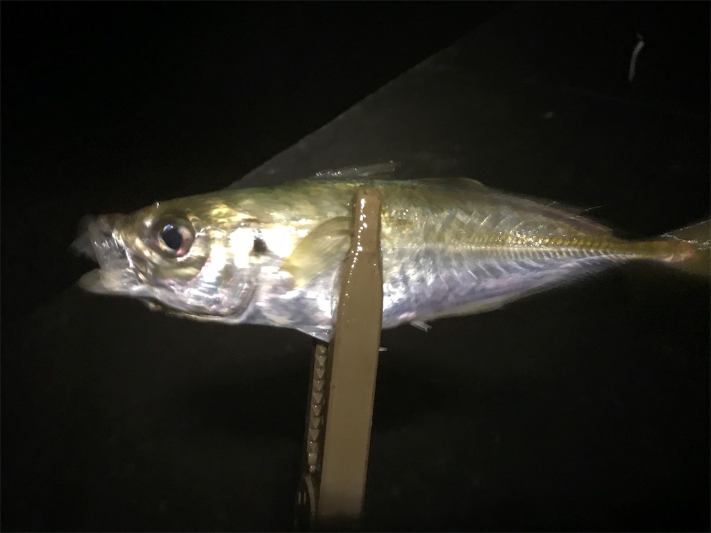 f:id:esojima3:20190730223559j:image