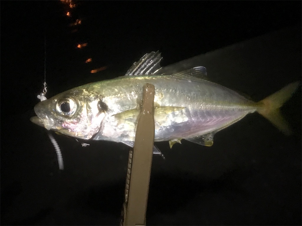 f:id:esojima3:20190730223603j:image