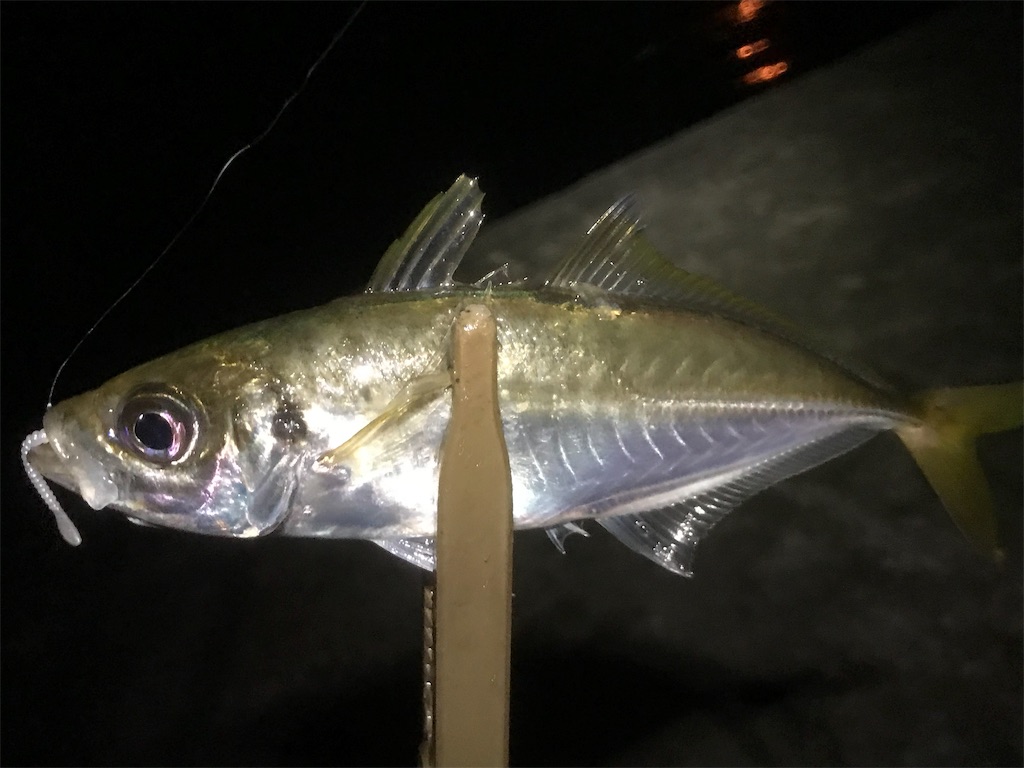 f:id:esojima3:20190730223609j:image