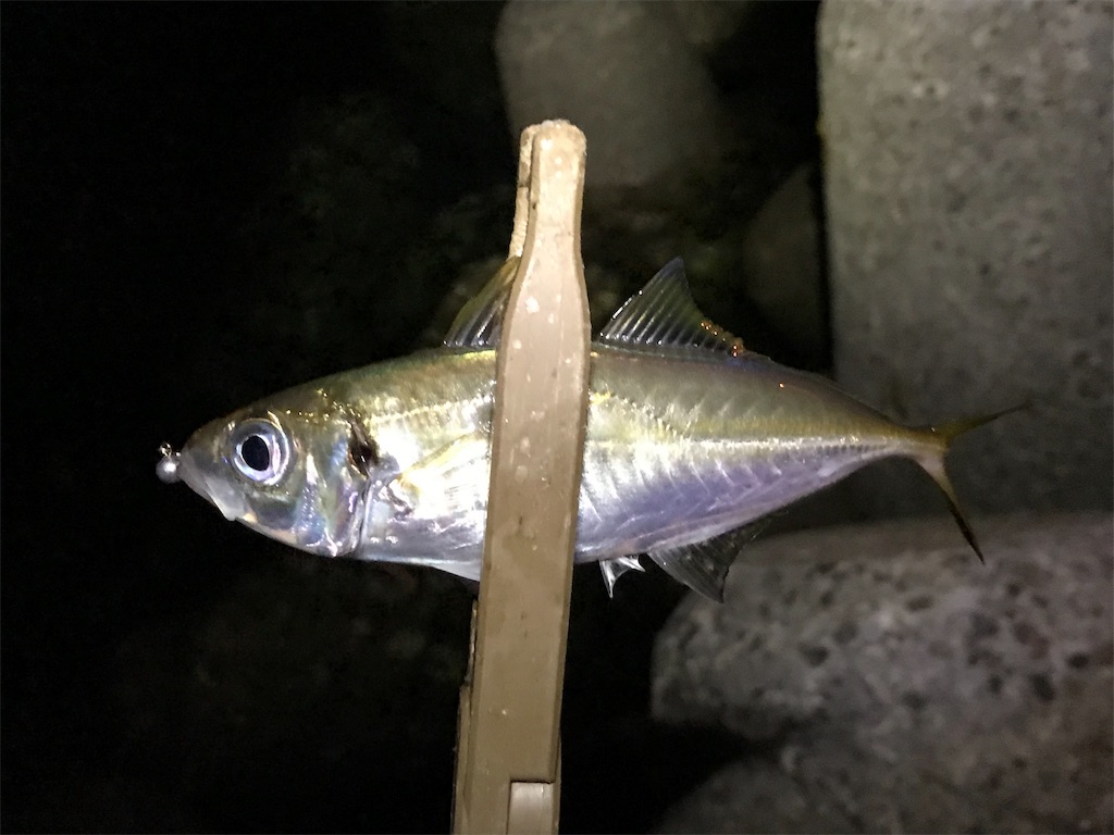 f:id:esojima3:20190731234603j:image f:id:esojima3:20190731234603j:image