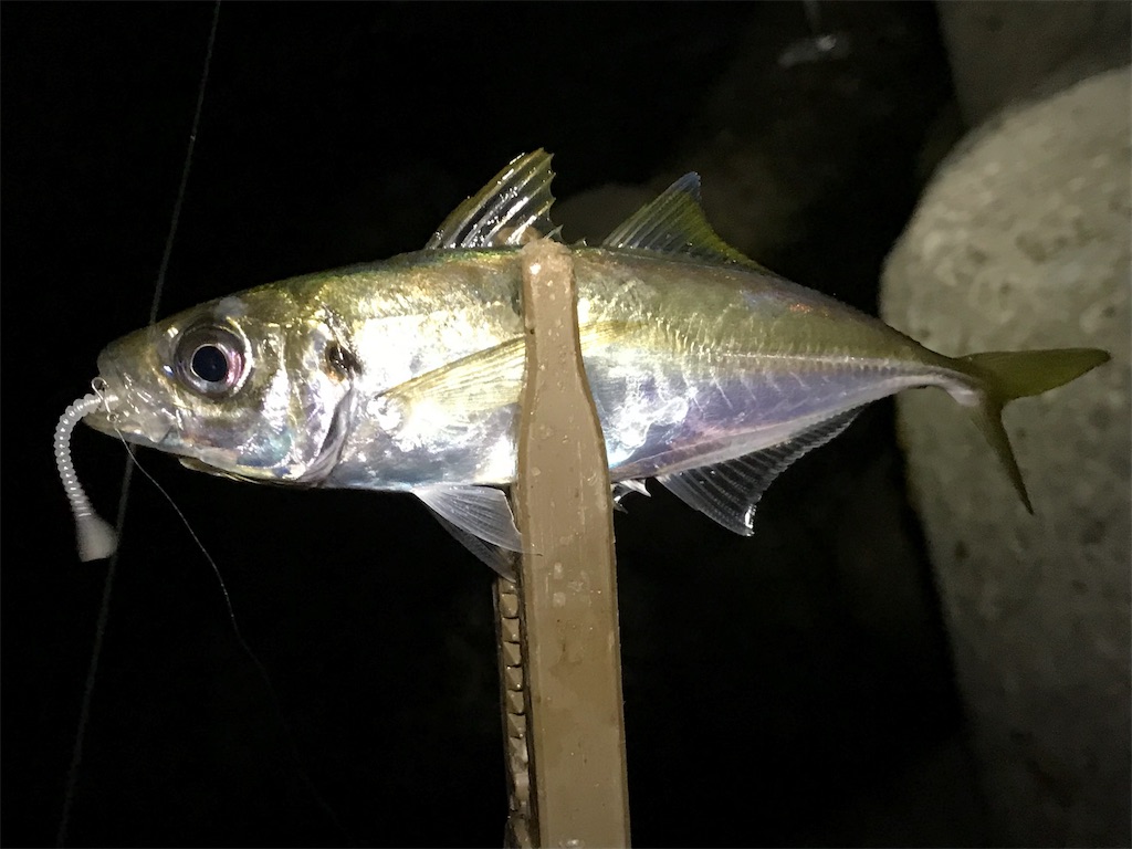 f:id:esojima3:20190731234933j:image f:id:esojima3:20190731234933j:image