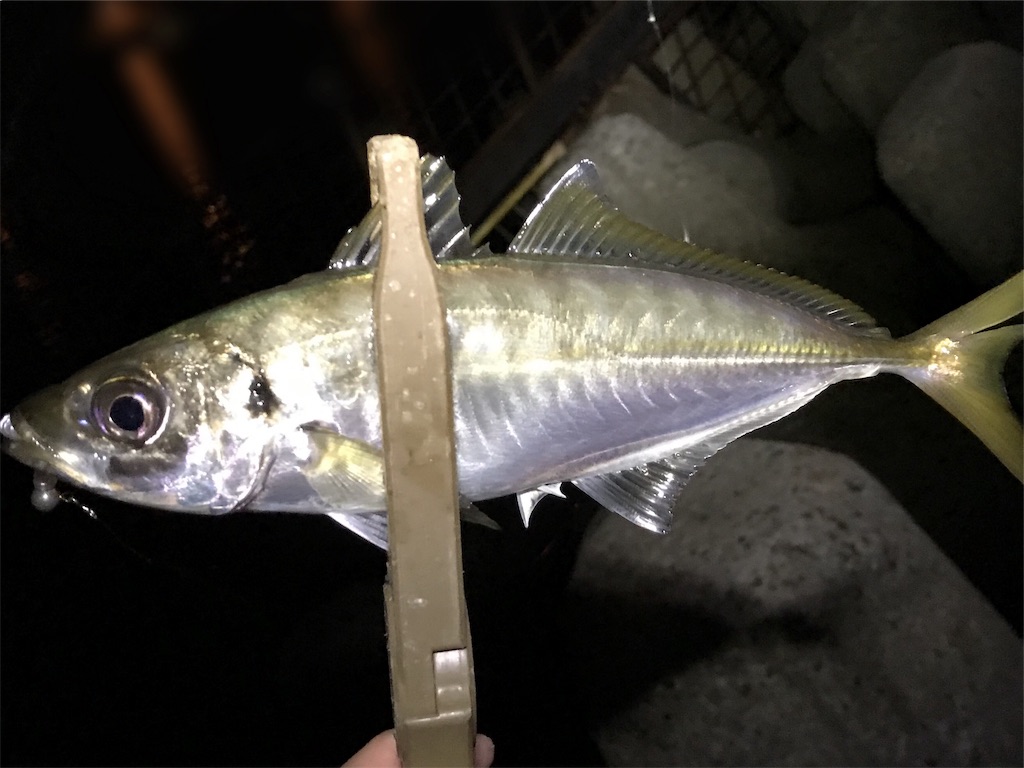 f:id:esojima3:20190801000412j:image f:id:esojima3:20190801000412j:image