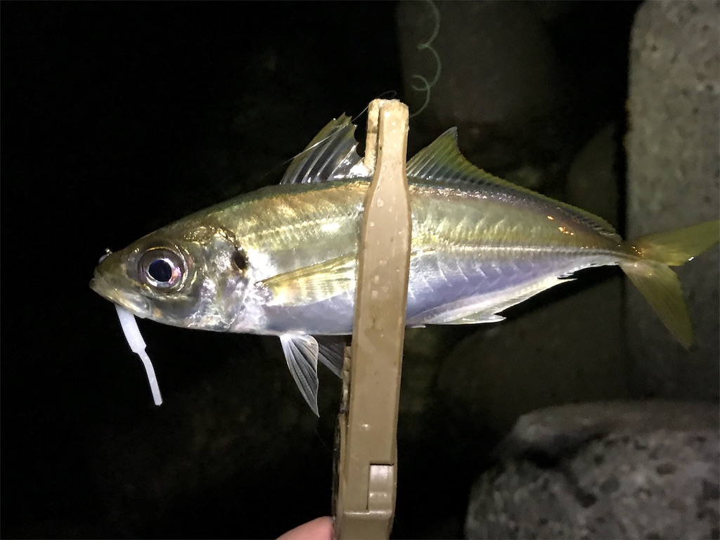 f:id:esojima3:20190801000415j:image f:id:esojima3:20190801000415j:image