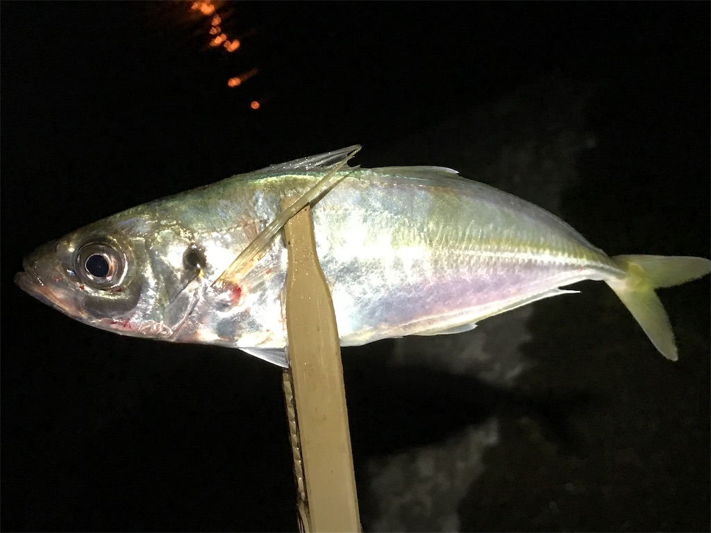 f:id:esojima3:20190801233650j:image