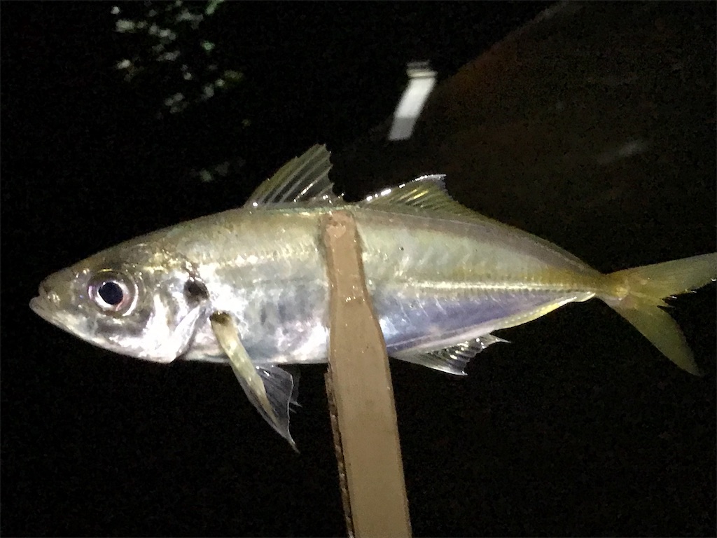 f:id:esojima3:20190801233848j:image