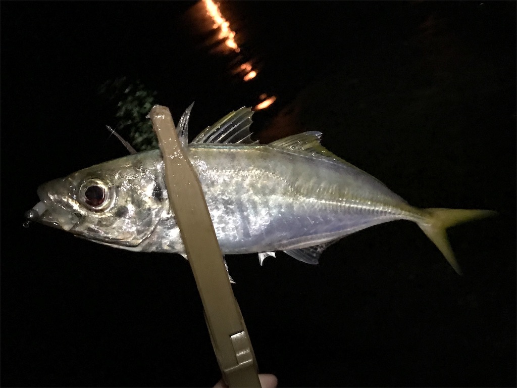 f:id:esojima3:20190801233900j:image