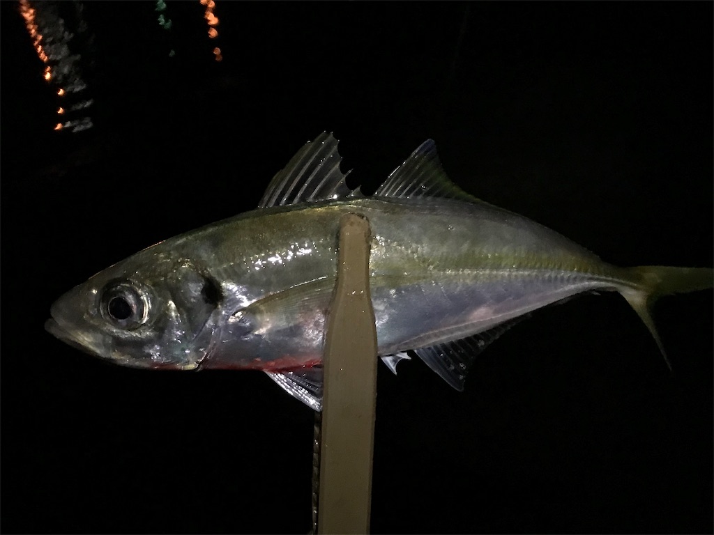 f:id:esojima3:20190801234527j:image