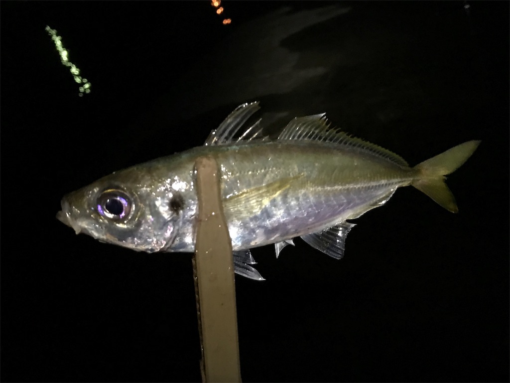 f:id:esojima3:20190801234741j:image