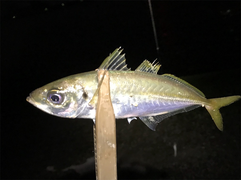 f:id:esojima3:20190803023901j:image