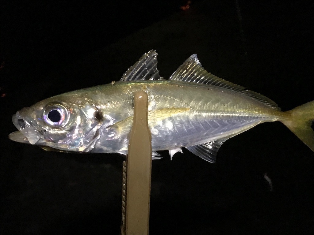 f:id:esojima3:20190803081255j:image
