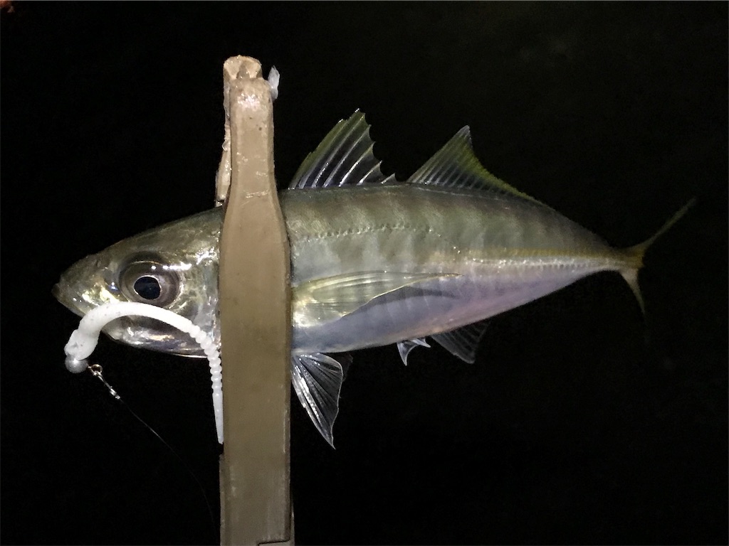 f:id:esojima3:20190803081737j:image