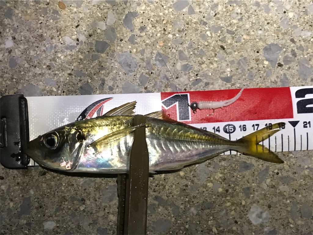 f:id:esojima3:20190804090407j:image f:id:esojima3:20190804090407j:image