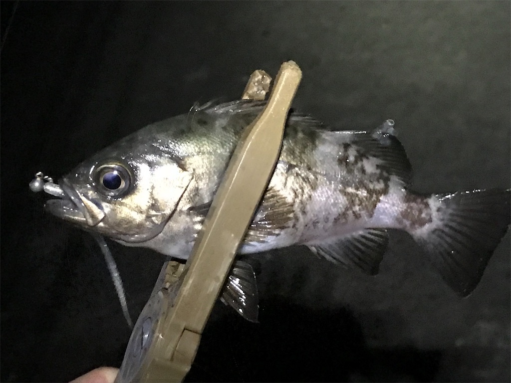 f:id:esojima3:20190804092025j:image f:id:esojima3:20190804092025j:image