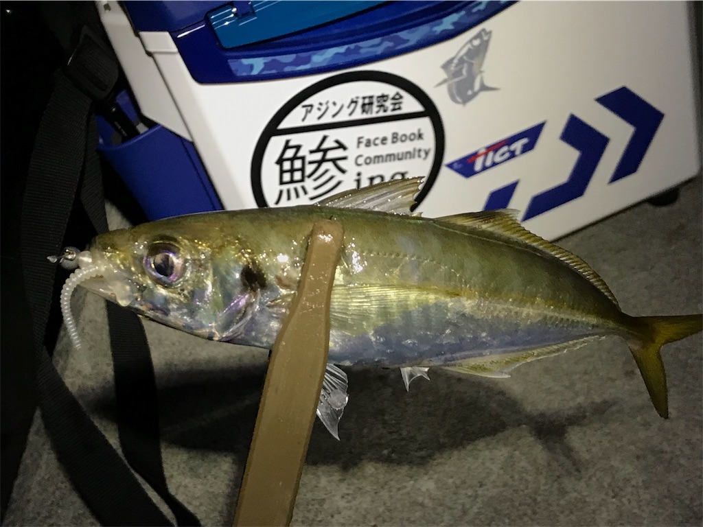 f:id:esojima3:20190804092838j:image f:id:esojima3:20190804092838j:image