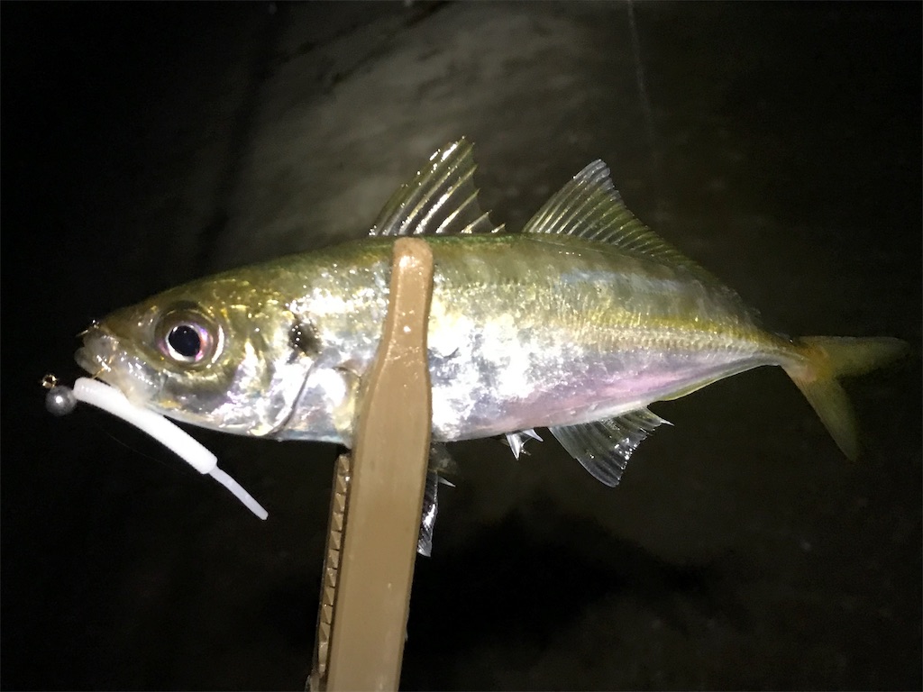 f:id:esojima3:20190804093056j:image f:id:esojima3:20190804093056j:image