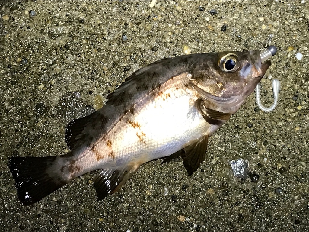 f:id:esojima3:20190804093810j:image f:id:esojima3:20190804093810j:image