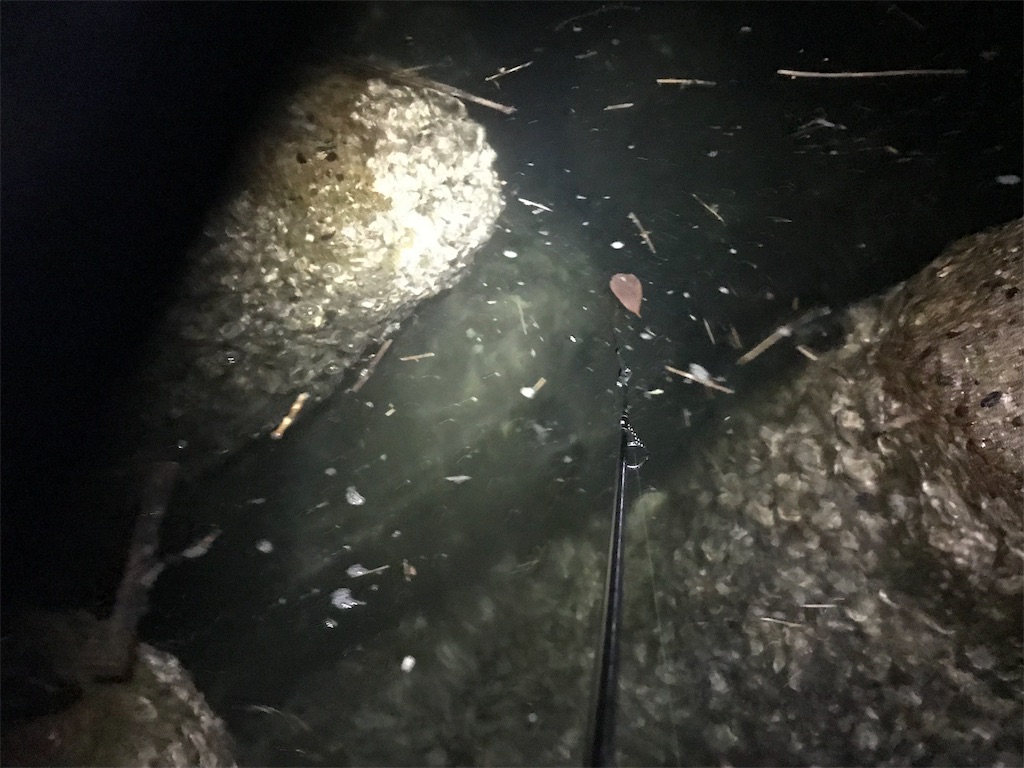 f:id:esojima3:20190804094204j:image f:id:esojima3:20190804094204j:image