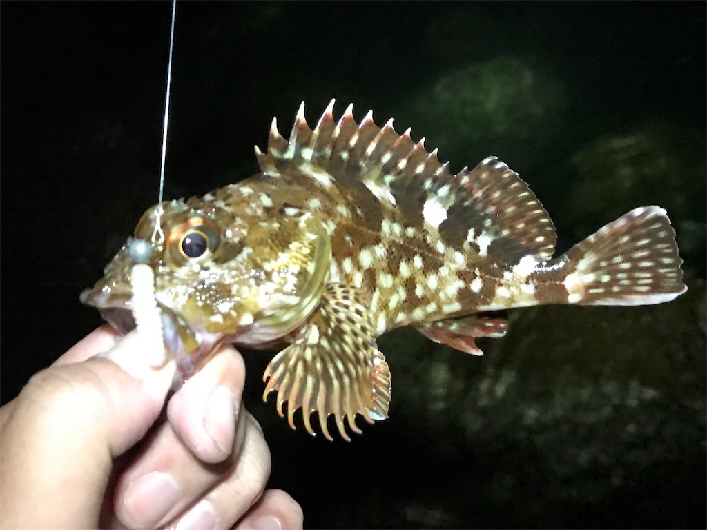 f:id:esojima3:20190804094217j:image f:id:esojima3:20190804094217j:image