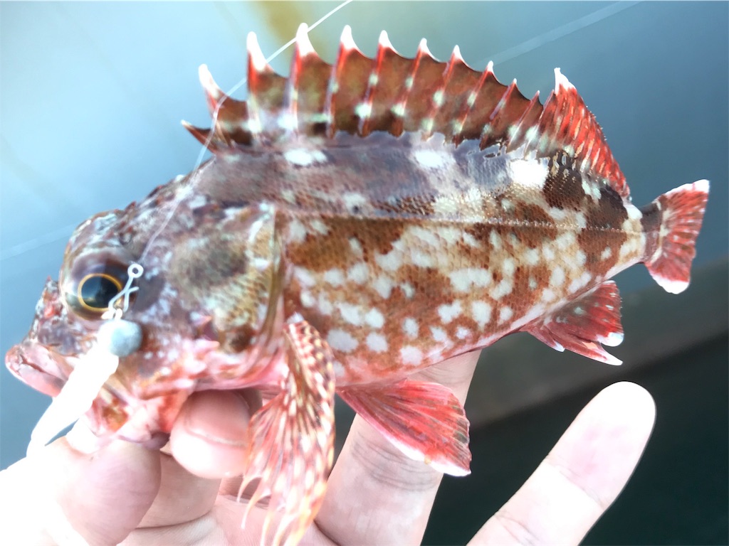f:id:esojima3:20190804174214j:image