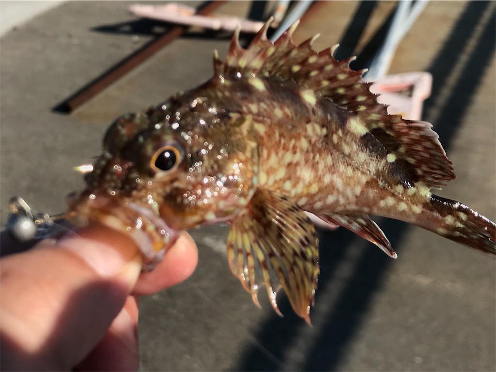 f:id:esojima3:20190804174251j:image