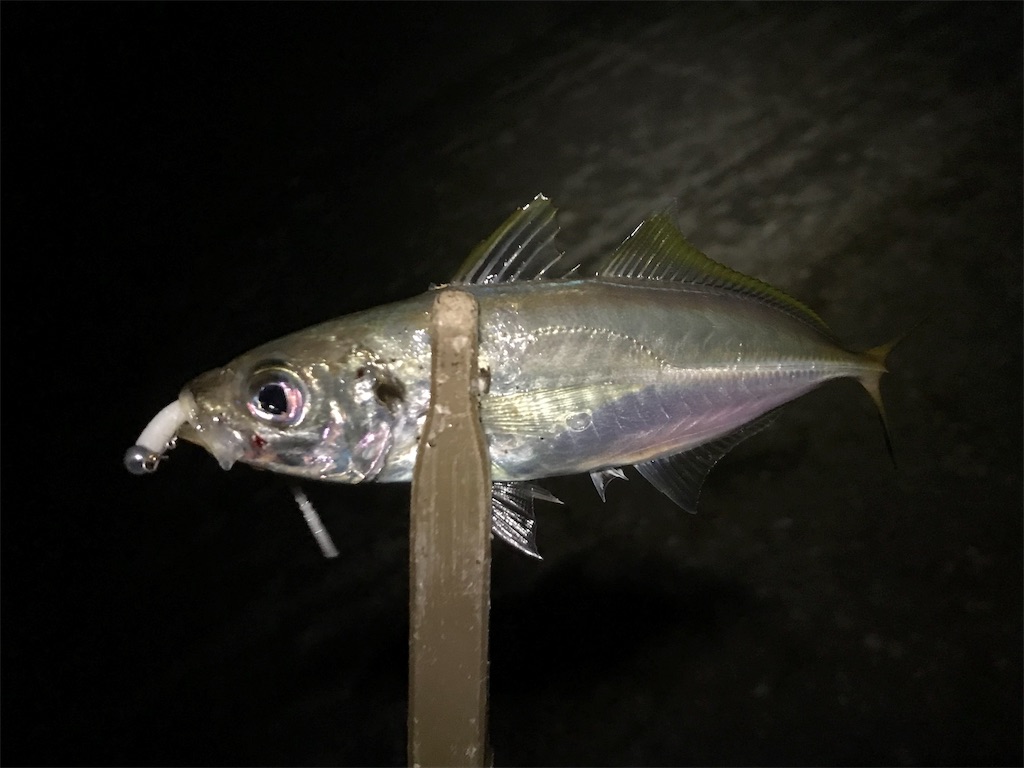 f:id:esojima3:20190808233811j:image