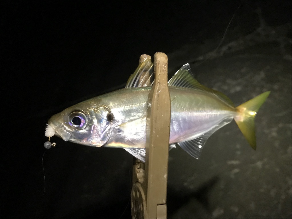 f:id:esojima3:20190808233938j:image