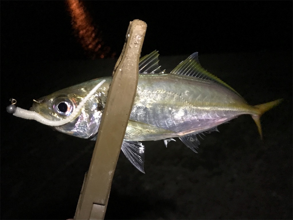 f:id:esojima3:20190808233942j:image