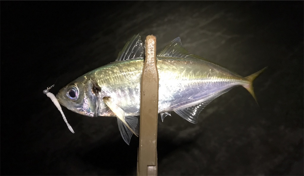 f:id:esojima3:20190808233951j:image