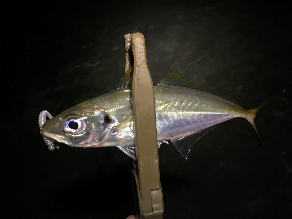 f:id:esojima3:20190808233956j:image