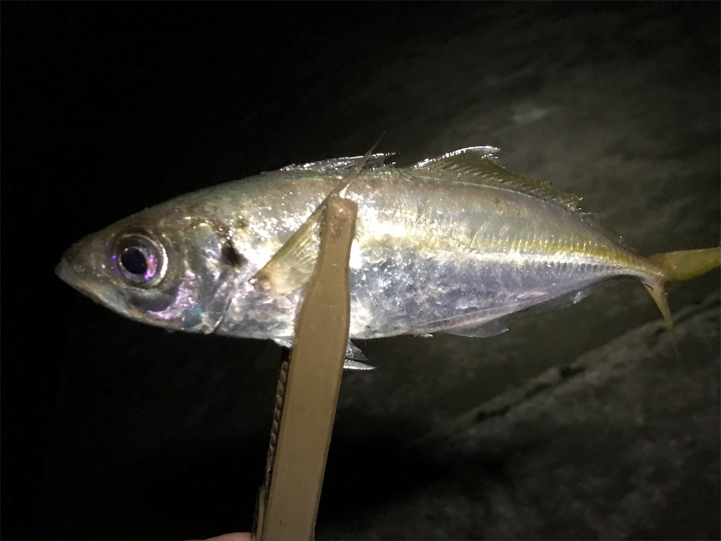 f:id:esojima3:20190809063657j:image