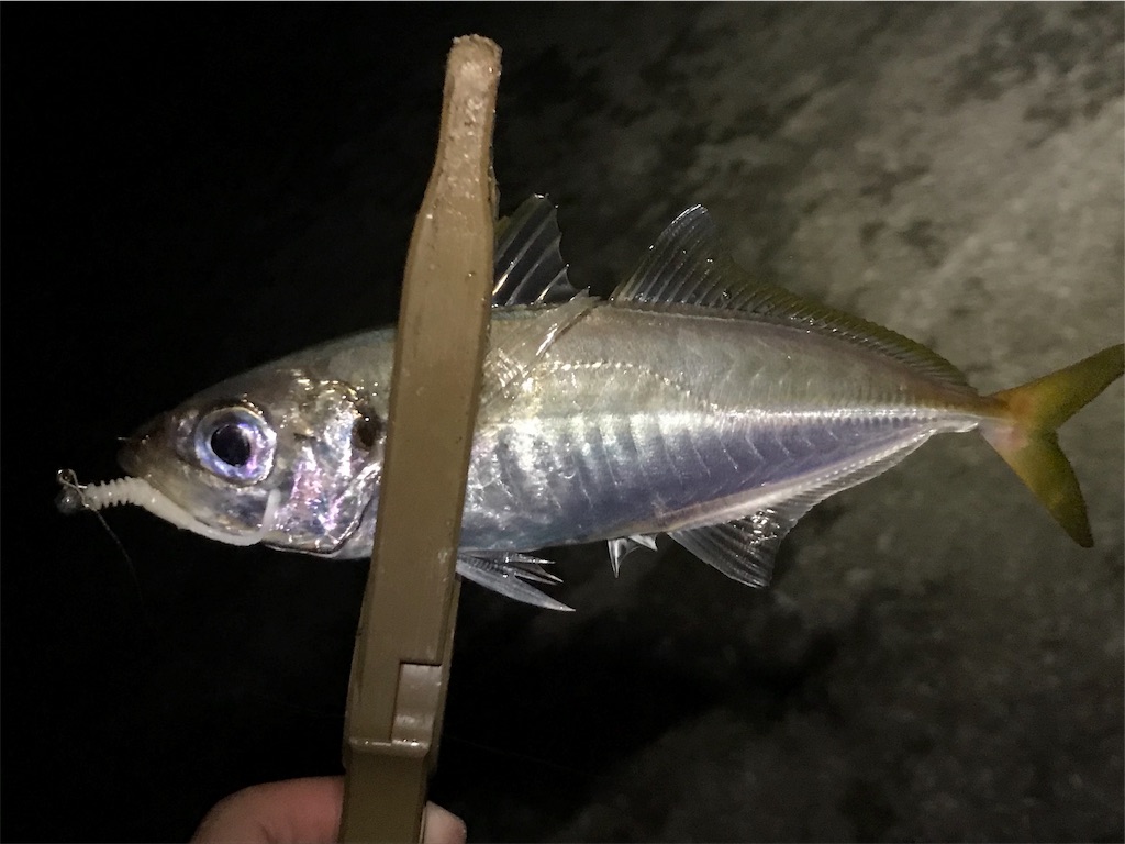 f:id:esojima3:20190809063701j:image