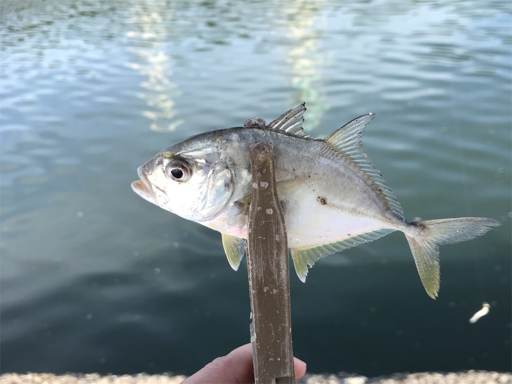 f:id:esojima3:20190810181411j:image