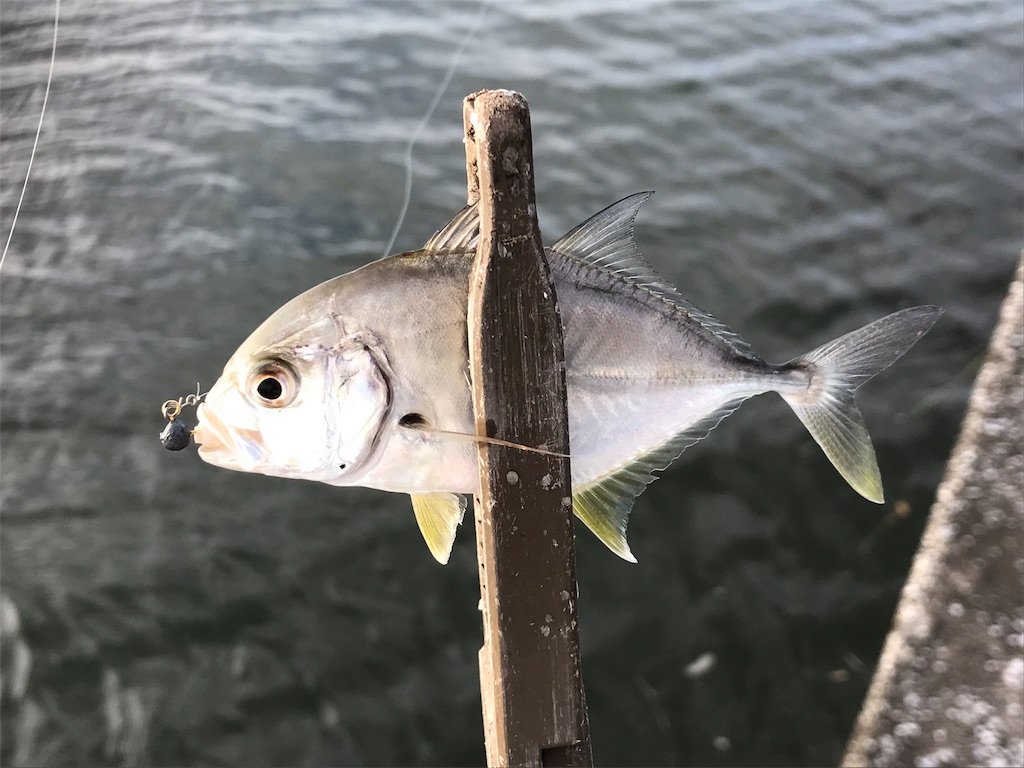f:id:esojima3:20190810181421j:image