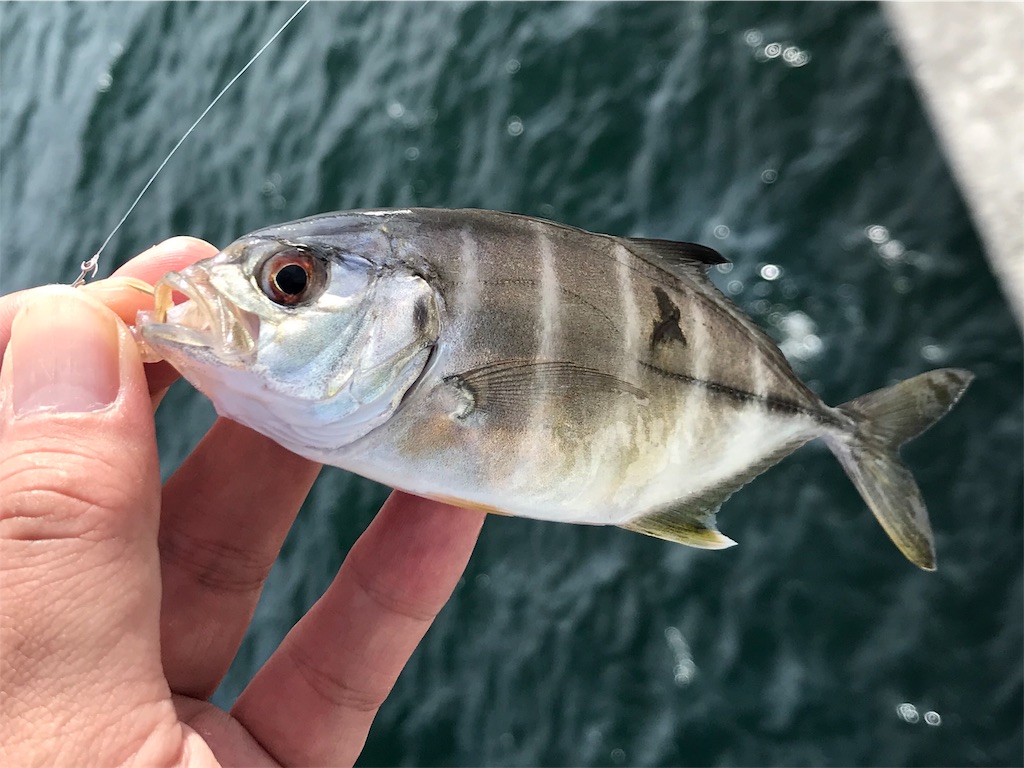f:id:esojima3:20190811175614j:image