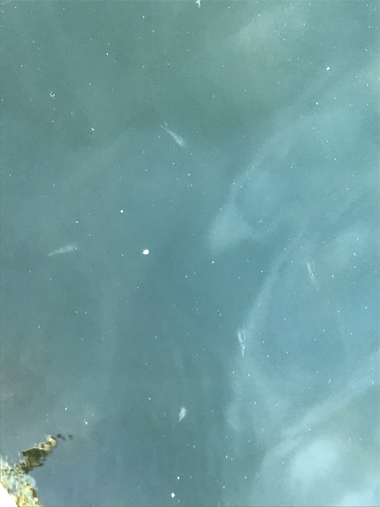 f:id:esojima3:20190811221027j:image