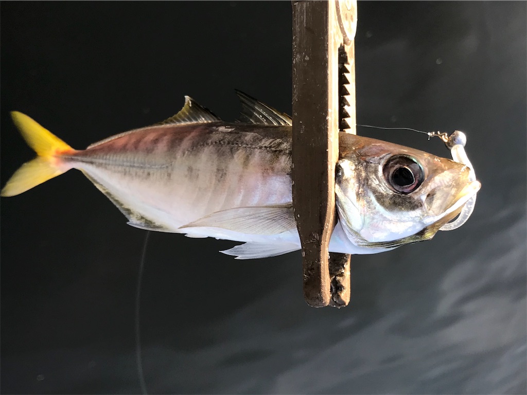 f:id:esojima3:20190811222459j:image