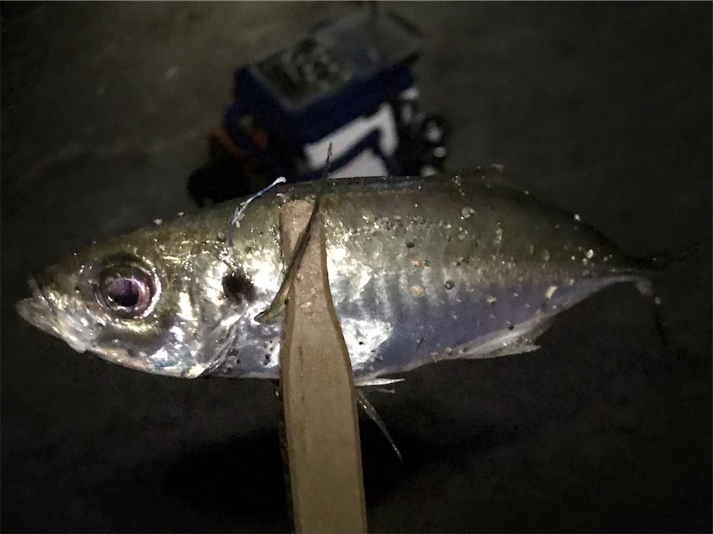 f:id:esojima3:20190811224425j:image