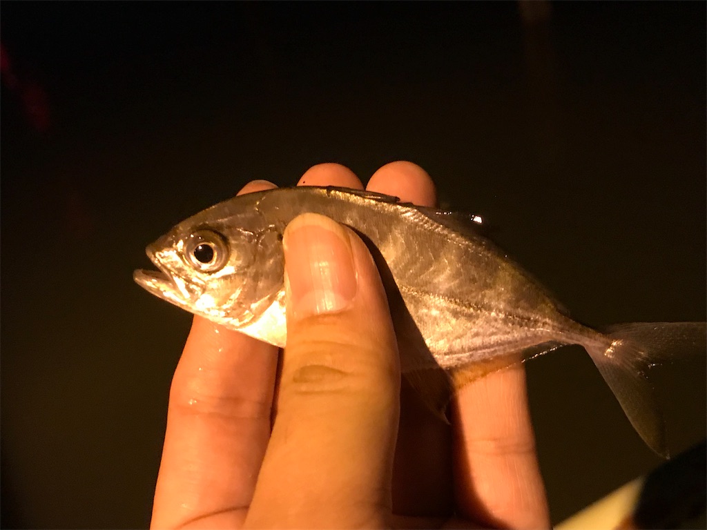 f:id:esojima3:20190816083823j:image